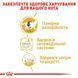 Royal Canin (Роял Канін) BRITISH SHORTHAIR ADULT Вологий корм для кішок британської породи, шматочки в соусі