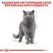 Royal Canin (Роял Канін) BRITISH SHORTHAIR ADULT Вологий корм для кішок британської породи, шматочки в соусі