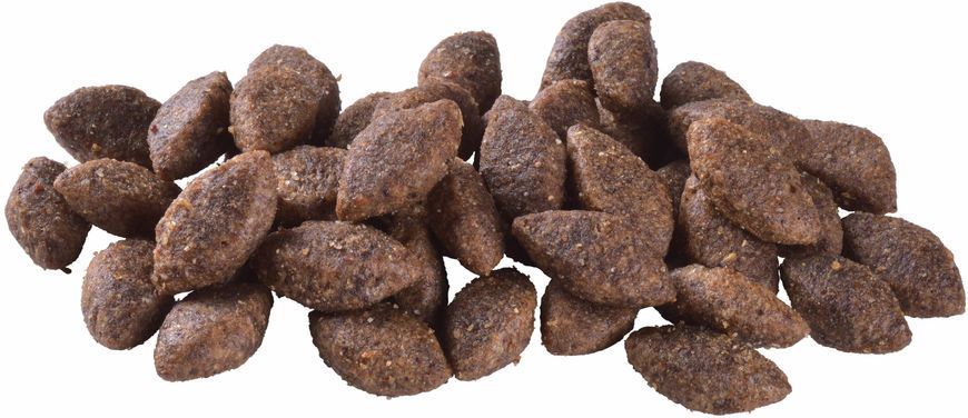 Brit Care Dog Sustainable Activit - Сухий корм для собак з підвищеною активністю 3кг (курка та комахи)