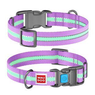 Collar Нашийник WAUDOG Nylon Світлонакопичувальний