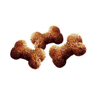 Brit Care Dog Crunchy Cracker - Ласощі для собак 200 г (комахи, кролик і фенхель)