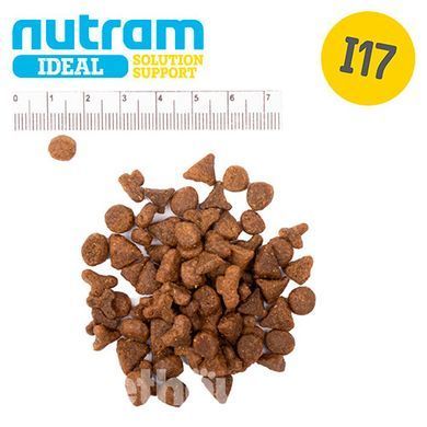 NUTRAM Ideal Solution Support Indoor Cat холістик корм для котiв домашнього утримання 340 г