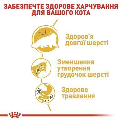 Royal Canin (Роял Канін) PERSIAN ADULT Сухий корм для кішок перської породи 2 кг