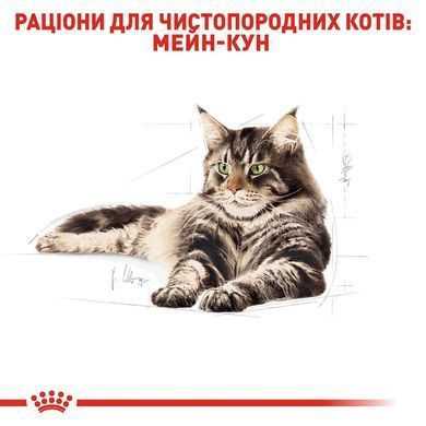 Royal Canin (Роял Канін) MAINECOON ADULT Вологий корм для кішок породи мейнкун, шматочки в соусі
