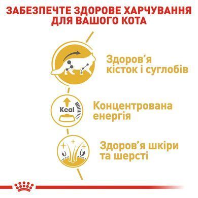 Royal Canin (Роял Канін) MAINECOON ADULT Вологий корм для кішок породи мейнкун, шматочки в соусі