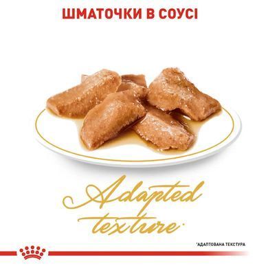 Royal Canin (Роял Канін) MAINECOON ADULT Вологий корм для кішок породи мейнкун, шматочки в соусі