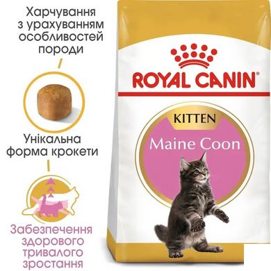 Royal Canin (Роял Канин) MAINECOON KITTEN Cухой корм для породы мейн-кун 2 кг