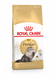 Royal Canin (Роял Канін) PERSIAN ADULT Сухий корм для кішок перської породи 2 кг