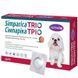 Simparica TRIO (Симпарика ТРИО) таблетки от блох, клещей и гельминтов для собак от 2,5 до 5 кг, таблетка