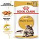 Royal Canin (Роял Канін) MAINECOON ADULT Вологий корм для кішок породи мейнкун, шматочки в соусі
