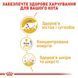 Royal Canin (Роял Канін) MAINECOON ADULT Вологий корм для кішок породи мейнкун, шматочки в соусі