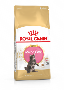 Royal Canin (Роял Канин) MAINECOON KITTEN Cухой корм для породы мейн-кун 4 кг