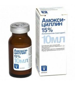 Амоксицилін 15% L.A. 10 мл - Livisto