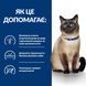 Hill&rsquo;s Prescription Diet Food Sensitivities z/d - Сухий корм для котів 1,5 кг