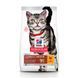 HILL'S SP Adult Hairball & Indoor Хиллс Сухой Корм ​​для Кошек с Курицей - 300 г