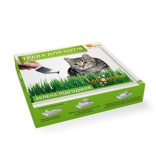 Трава для котів (з ґрунтом) 50г