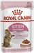 Royal Canin (Роял Канін) KITTEN STERILISED IN GRAVY Вологий корм для стерилізованих кошенят в соусі