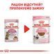 Royal Canin (Роял Канін) KITTEN STERILISED IN GRAVY Вологий корм для стерилізованих кошенят в соусі