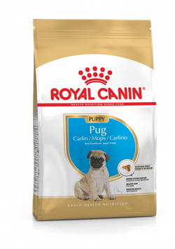 Royal Canin (Роял Канин) PUG PUPPY Cухой корм для щенков породы мопс 0,5 кг