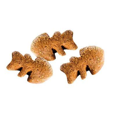 Brit Care Dog Crunchy Cracker - Ласощі для собак 200 г (комахи, лосось і чебрець)