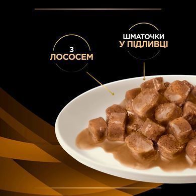 Purina Pro Plan Veterinary Diets NF Advanced care - Вологий корм пауч для кішок при захворюваннях нирок з лососем 85 г, пачка