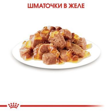 Royal Canin (Роял Канін) STERILISED JELLY Вологий корм для стерилізованих кішок в желе