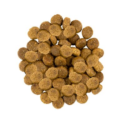 Savory корм для собак средних пород 12кг (индейка и ягненок)