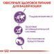 Royal Canin (Роял Канін) STERILISED JELLY Вологий корм для стерилізованих кішок в желе