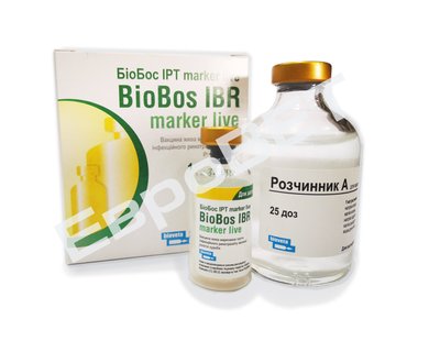 БиоБос ИБР маркер лев вакцина живая маркированная против инфекционного ринотрахеита КРС
