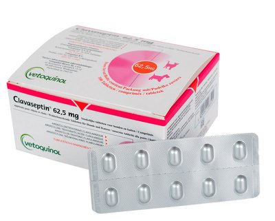 Клавасептин 62,5 мг (Clavaseptin) - Антибактериальный препарат для собак и кошек - Vetoquinol