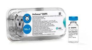 Нобивак ЧГППИ (Nobivac DHPPi) вакцина для собак - MSD Animal Health