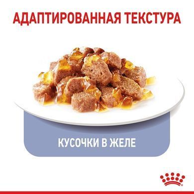 Влажный корм Royal Canin Appetite Control Care кусочки в желе, для стерилизованных кошек, 85 г