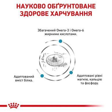 Сухой корм Royal Canin Skin & Coat при дерматозе и выпадении шерсти у кошек, 1.5 кг