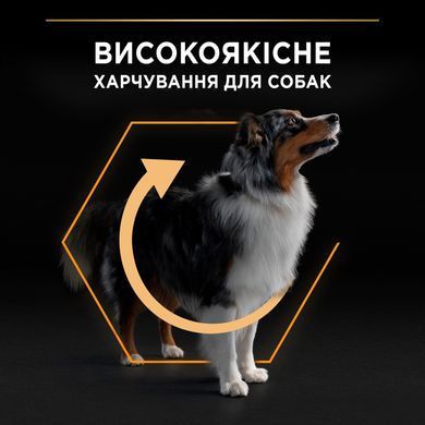 ProPlan Dog Medium Adult - Сухий корм для дорослих собак середніх порід з куркою 3 кг