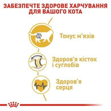 Royal Canin (Роял Канин) BRITISH SHORTHAIR ADULT Сухой корм для кошек породы британская короткошерстная 2 кг