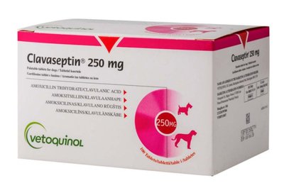 Клавасептин 250 мг (Clavaseptin) - Антибактериальный препарат для собак и кошек - Vetoquinol