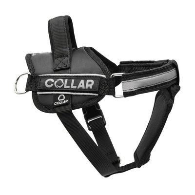 Collar Шлея DOG Extreme серия POLICE N 4 с фонариком
