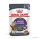 Влажный корм Royal Canin Appetite Control Care кусочки в желе, для стерилизованных кошек, 85 г