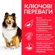 HILL'S SP Adult Sensitive Stomach & Skin Medium Хіллс Сухий Корм для Собак з Куркою - 14 кг