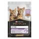 ProPlan Kitten Nutrisavour - Вологий корм для кошенят, з індичкою в підливці 85 гр
