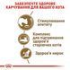 Royal Canin (Роял Канін) AGEING +11 Сухий корм для старіючих кішок у віці від 11 років 2 кг