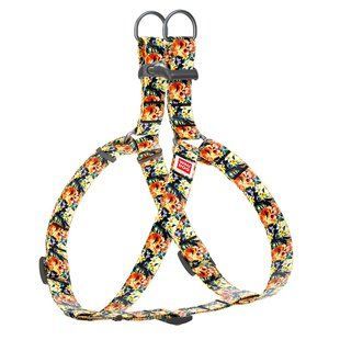 Collar Шлея WAUDOG Nylon с рисунком"Гламурные черепа"