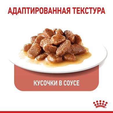Royal Canin (Роял Канін) APPETITE CONTROL Вологий корм для кішок схильних до випрошування корму, шматочки в соусі