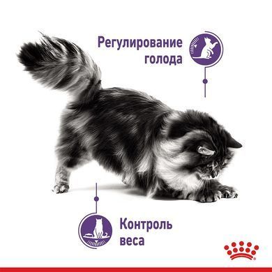 Royal Canin (Роял Канін) APPETITE CONTROL Вологий корм для кішок схильних до випрошування корму, шматочки в соусі
