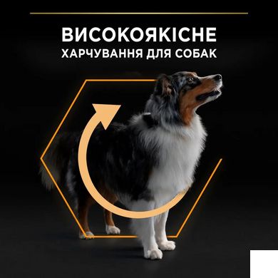 ProPlan Dog Medium Adult - Сухой корм для взрослых собак средних пород с курицей 14 кг