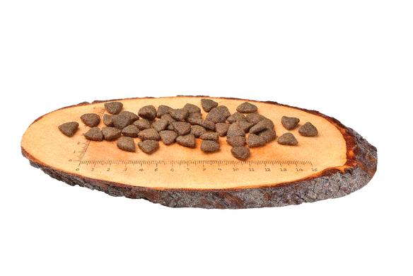 Carnilove Salmon Adult cухий корм для дорослих собак всіх порід 1,5 кг (лосось)