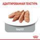 Влажный корм Royal Canin Appetite Control Care паштет, для стерилизованных кошек, 85 г