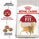 Royal Canin (Роял Канин) FIT 32 Сухой корм для взрослых кошек 2 кг